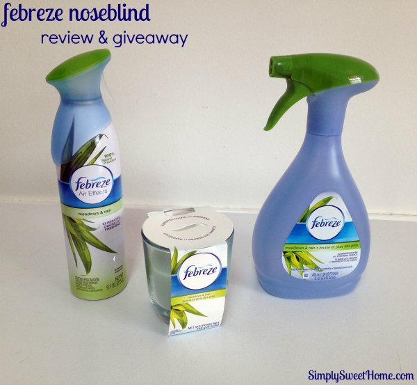 Febreze Noseblind Review and Giveaway