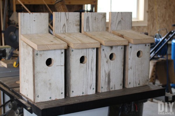 DIY-Bluebird-birhouses