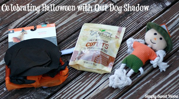 Celebrating Halloween with our Dog Shadow