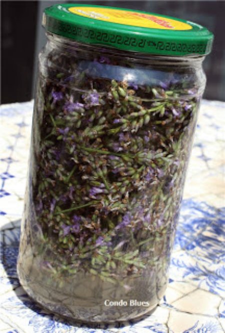 Homemade Lavender