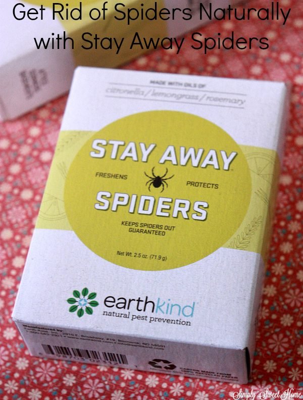 stay-away-spiders