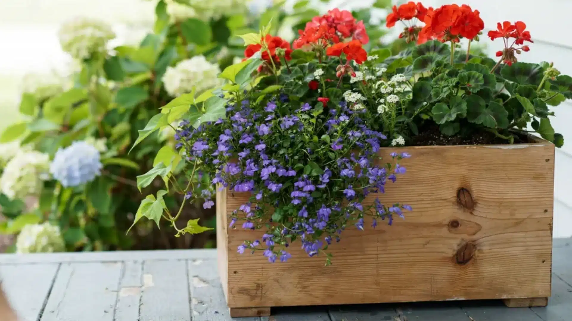 Wooden DIY planter box filled with red, purple, and white flowers on a porch, creating a colorful and inviting garden display.