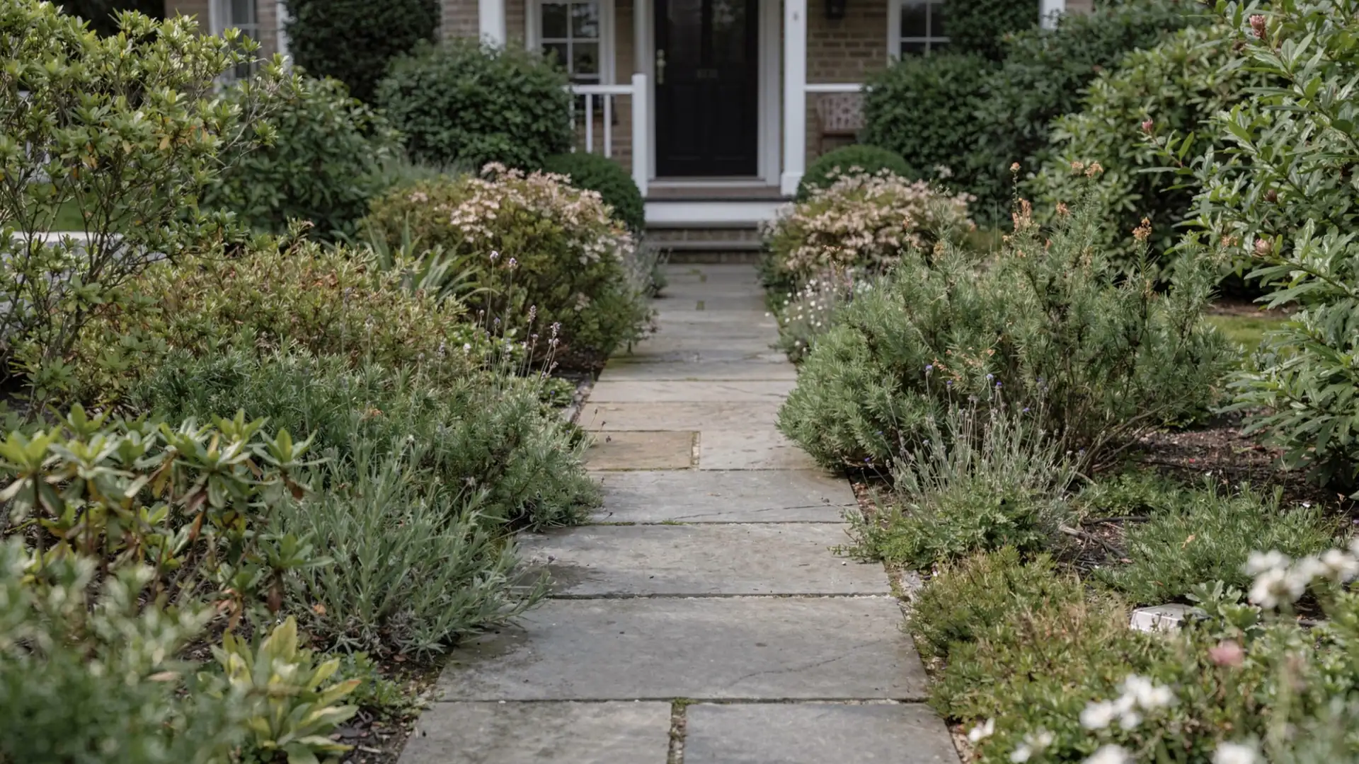 A stone pathway leads to a front porch surrounded by lush green landscaping and flowering shrubs