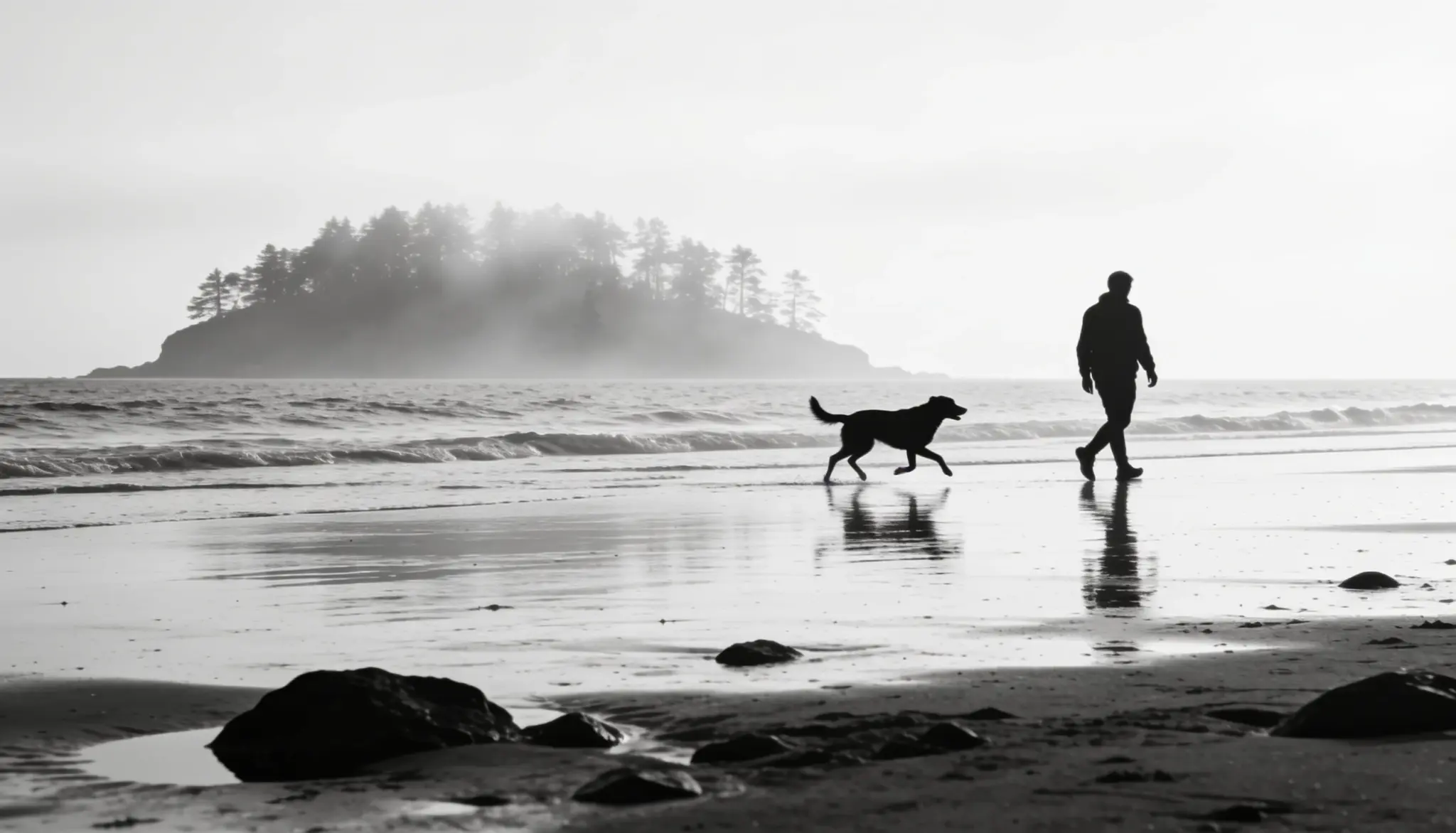 slow living with a person and dog walking peacefully along a quiet beach
