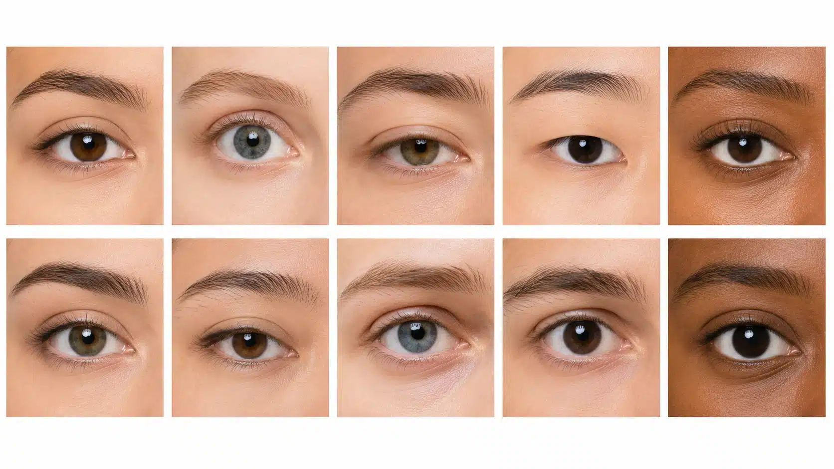 Visual representation of multiple eye shapes and colors, annotated for easy reference and understanding.